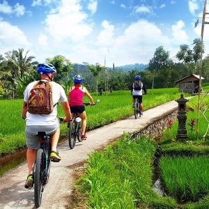 5. Bersepeda di Ubud